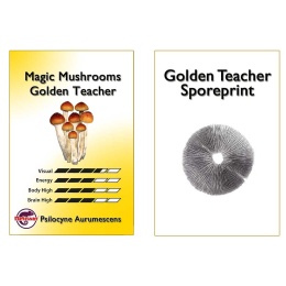 Zarodniki - Sporeprint Golden Teacher