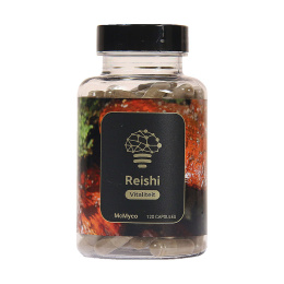 Reishi ekstrakt 120szt 400mg/kapsułkę - grzyb nieśmiertelności.